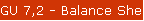 GU 7,2 - Balance Sheet