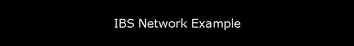 IBS Network Example