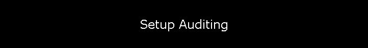 Setup Auditing